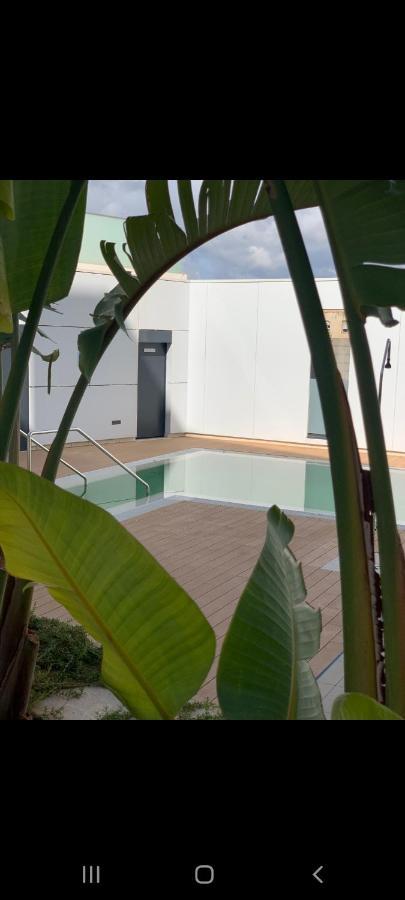 Cordoba Luxury Home Bagian luar foto